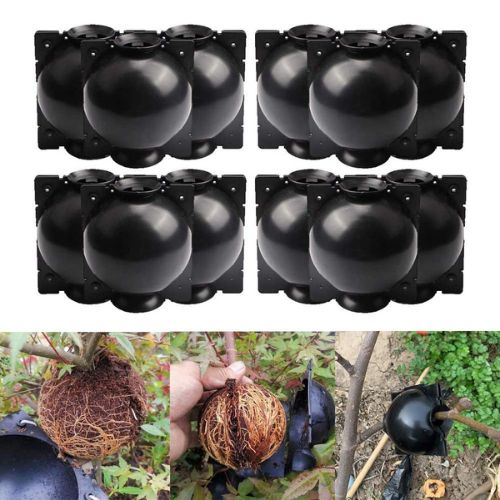 Plant Rooting Ball 10x