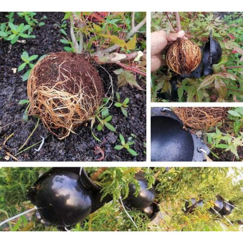 Plant Rooting Ball 10x