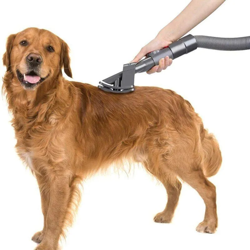 Pet Essentials