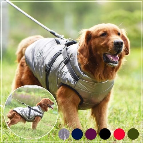 Waterproof Dog Harness Jacket