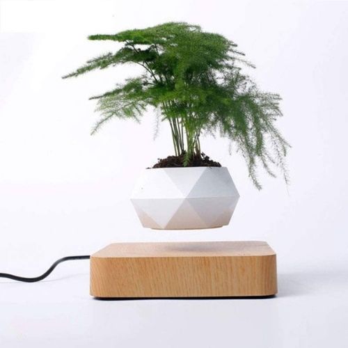 Levitating Flower Pot